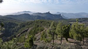 Criminalizando el deporte y el amor por la naturaleza en Canarias