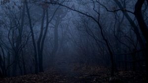 Consejos para entrenar MTB por la noche